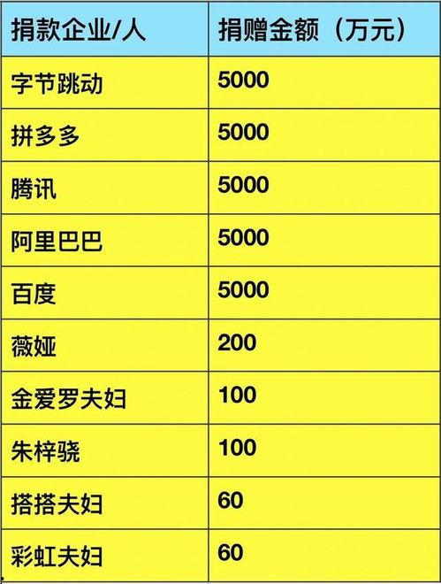 明星网红捐款总额,捐款总额突破XX万元助力抗疫”