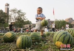 最近学校热门瓜,揭秘近期校园热门瓜之真相揭晓