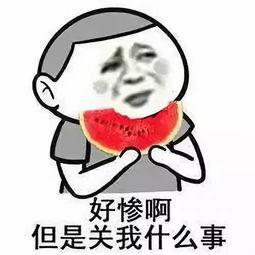 秃崽吃瓜视频爆料,娱乐圈最新爆料大揭秘