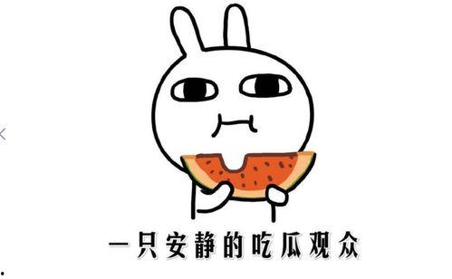 抖音吃瓜网爆料黑料,揭秘网红背后的惊人真相！