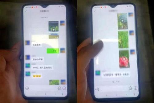 热门偷瓜视频,热门偷瓜视频背后的趣味与智慧