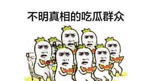 吃瓜群众黑二完整版,一场关于网络舆论的完整版探讨