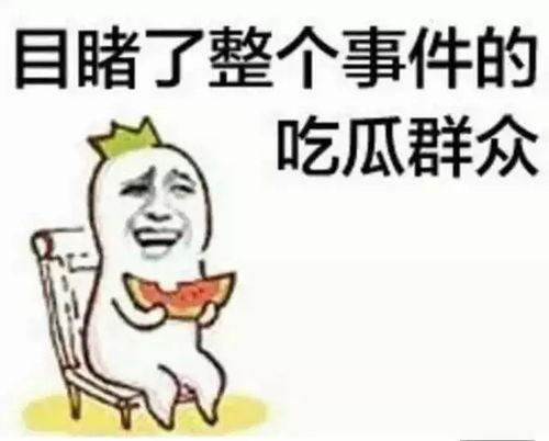 吃瓜群众黑二完整版,一场关于网络舆论的完整版探讨