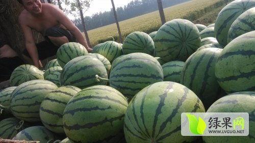 最近热门的瓜,揭秘明星背后的惊人真相！