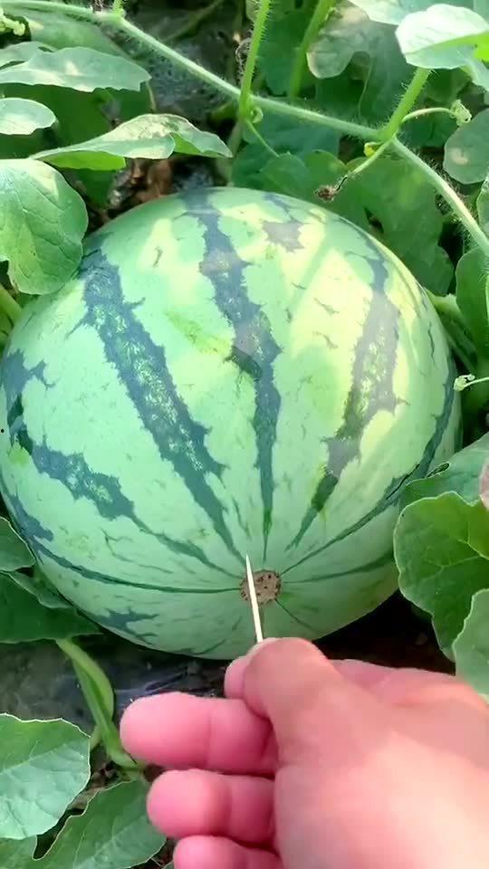 最近热门的瓜,揭秘明星背后的惊人真相！