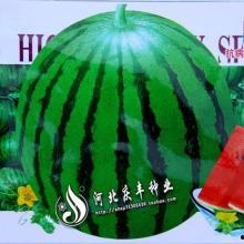 飞瓜热门作品,揭秘短视频新趋势