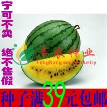 飞瓜热门作品,揭秘短视频新趋势