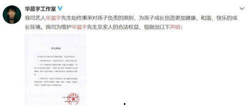 娱乐圈吃瓜元素表成毅,成毅在娱乐圈的瓜田漫步