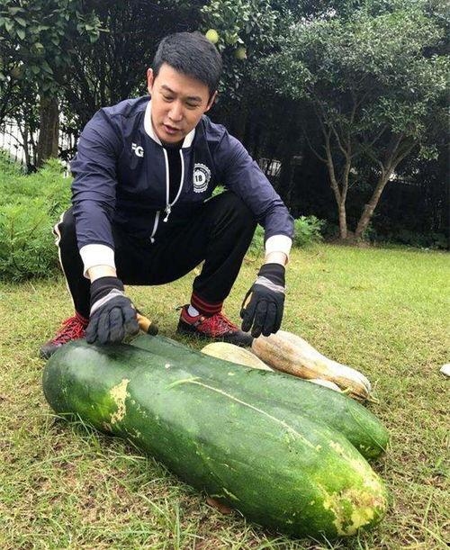 国内吃瓜爆料在哪看,热门平台一览