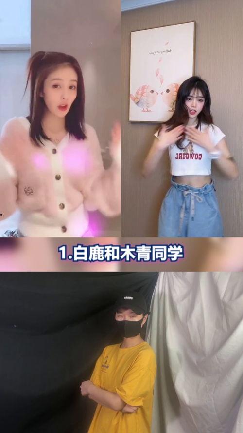 明星网红舞合集,明星网红舞合集，尽展时尚风采