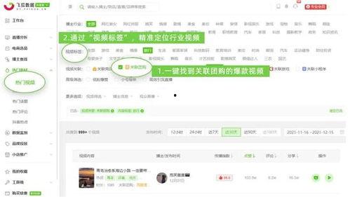 飞瓜热门视频,热门内容背后的爆款秘诀