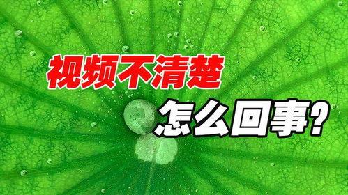 抖音瓜热门,揭秘热门事件背后的真相与争议