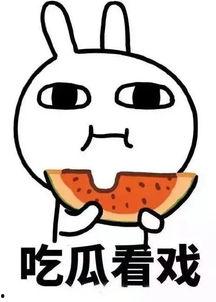 热门 吃瓜 事件,真相与舆论的碰撞