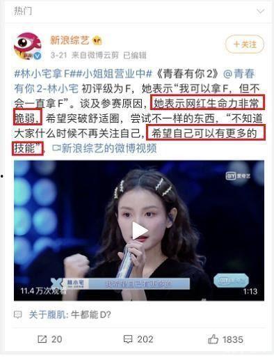 明星网红直播旅游,明星导游带你领略异国风情