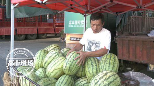 今日吃瓜第一天吃什么,揭秘美食界的“瓜王”争霸赛