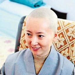 明星网红来西藏,明星网红打卡，揭秘圣地的魅力瞬间