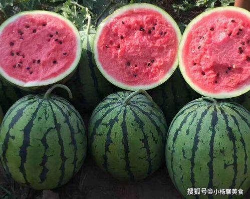 今日头条好闺蜜一起吃瓜,共享欢乐时光