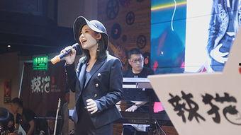 明星网红猫唱歌,萌态歌声征服网友