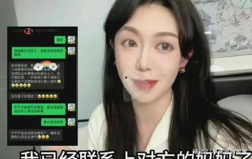最新视频明星网红,明星网红的崛起与影响力