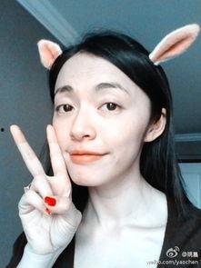 最新视频明星网红,明星网红的崛起与影响力