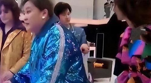 明星网红凳子图片,潮流与时尚的完美融合
