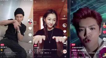 未来明星网红视频,短视频时代的璀璨新星
