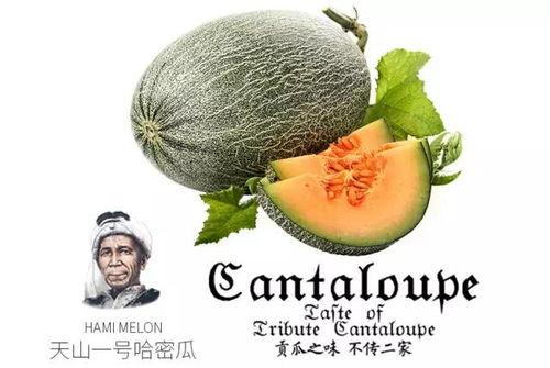 热门吃瓜图片,最新吃瓜图鉴，明星幕后故事大曝光！