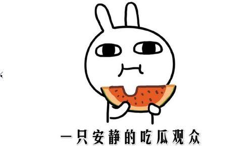 吃瓜看热门,吃瓜群众视角下的热门事件盘点