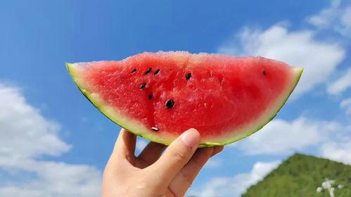 遵义热门吃瓜,揭秘当地美食风云录