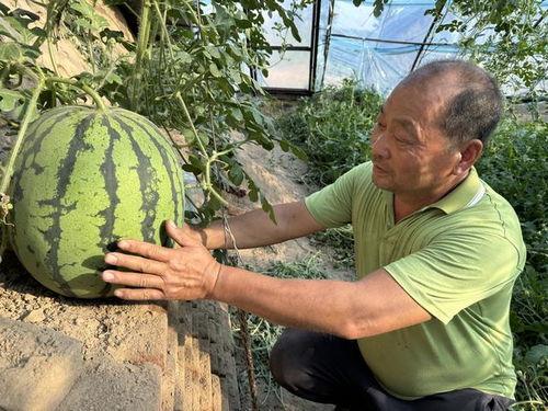 上热门大瓜,真相与八卦齐飞