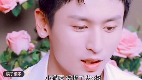 泡泡黑料吃瓜视频在线观看,吃瓜视频带你领略网络热点背后的真相