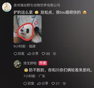 熊猫明星网红排名,盘点最具人气的小可爱们