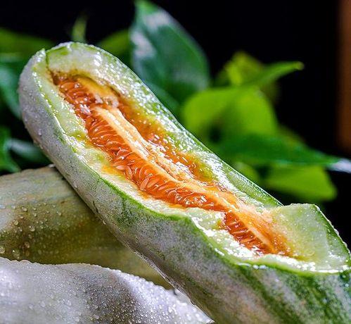 热门瓜品种介绍,从口感到营养，一网打尽