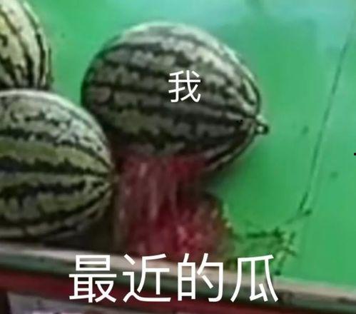 反差吃瓜爆料在线蘑菇,揭秘“在线蘑菇”背后的神秘故事