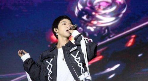 明星网红模仿者,明星风采再现，娱乐界新宠儿
