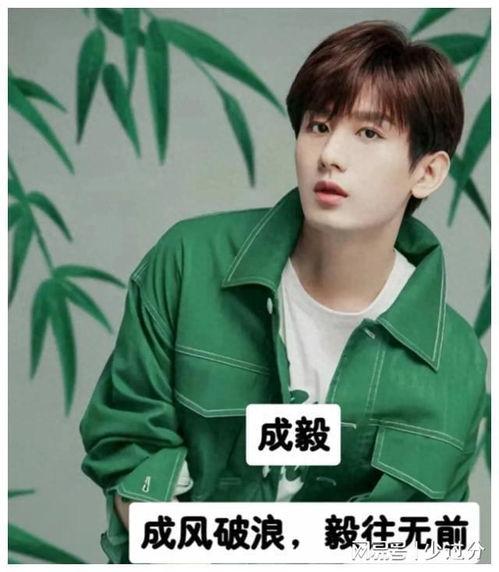 明星网红的口号,揭秘他们的成功秘诀