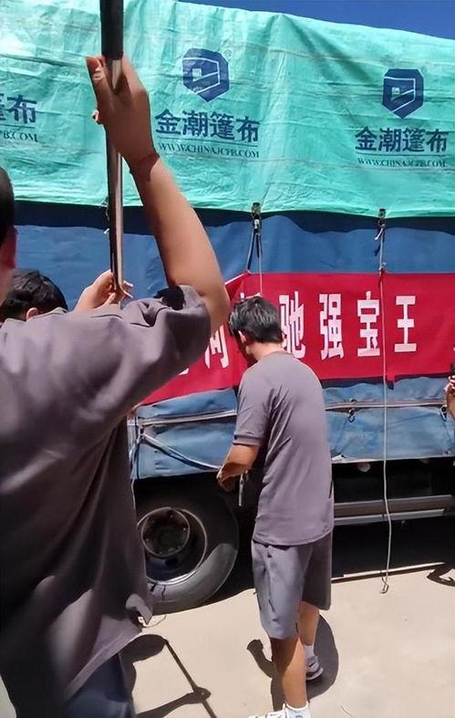 明星网红驰援涿州,明星网红助力涿州抗洪救灾”