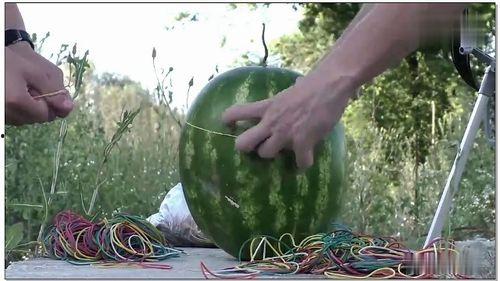 同城热门大瓜,一网打尽最新热点事件