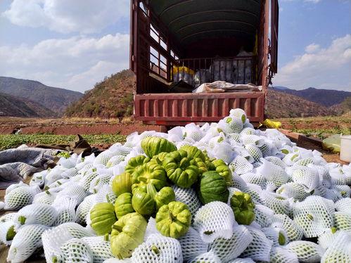 同城热门大瓜,一网打尽最新热点事件