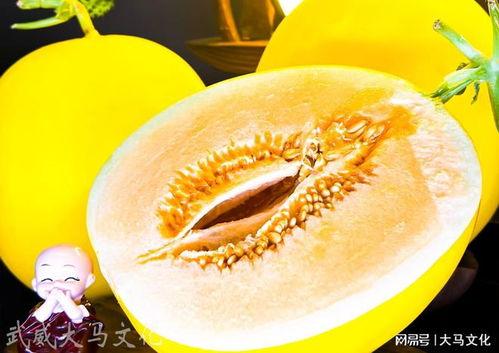 民勤蜜瓜热门,沙漠中的甘甜瑰宝，品味丝路古韵