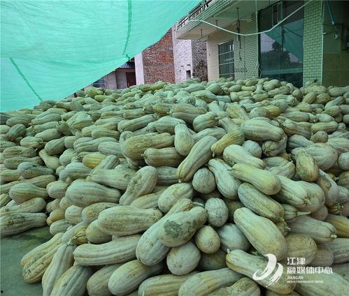 马场坪的吃瓜爆料,揭秘娱乐圈背后的惊人真相