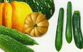 热门瓜在哪吃,揭秘各大热门瓜在哪吃