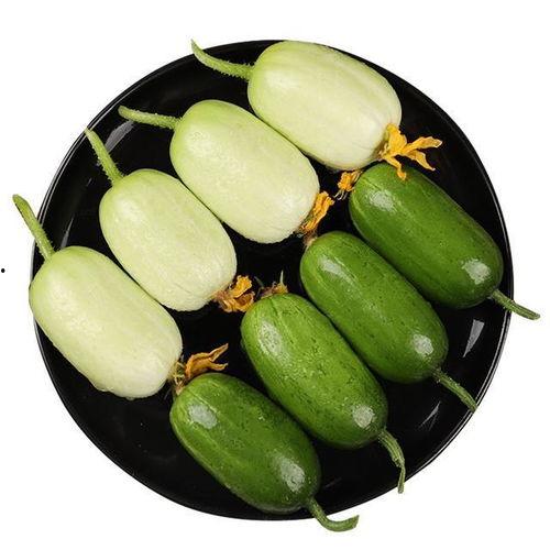 黑高瓜怎么吃才好吃呢,黑高瓜的多样美味吃法揭秘