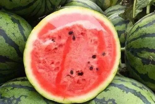 黑料吃瓜项目应用场景,网络时代下的隐私边界与舆论监督新挑战