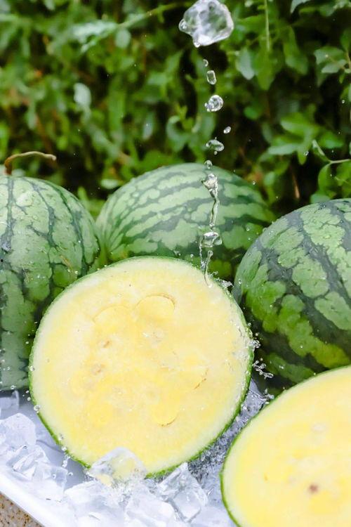 在线吃瓜每日更新51黑料,每日热点事件深度剖析