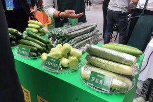 河北热门大瓜,揭秘背后惊人真相