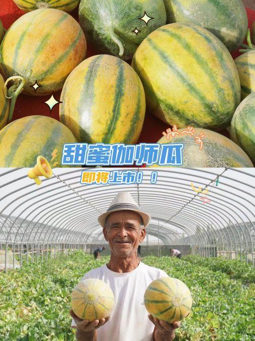 7月热门瓜,娱乐圈风云再起，揭秘幕后真相