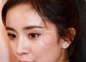 明星网红测脸,揭秘明星网红的完美脸型秘密！”