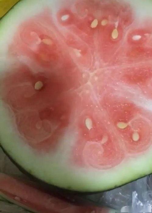 同城热门梨瓜,梨瓜新宠，夏日清凉佳选