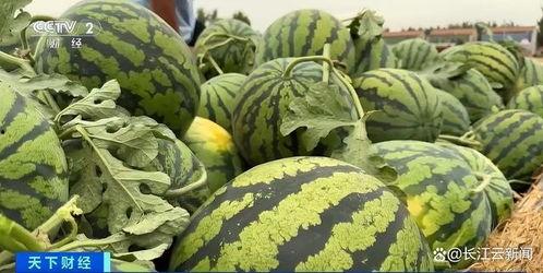 全网热门吃瓜,揭秘热门吃瓜事件背后的真相